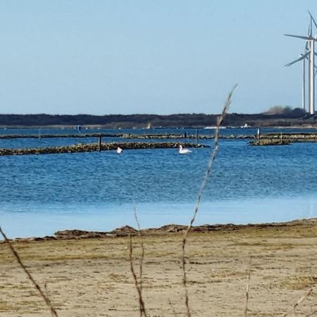 Beach Lodges Oostvoorne Exterior photo