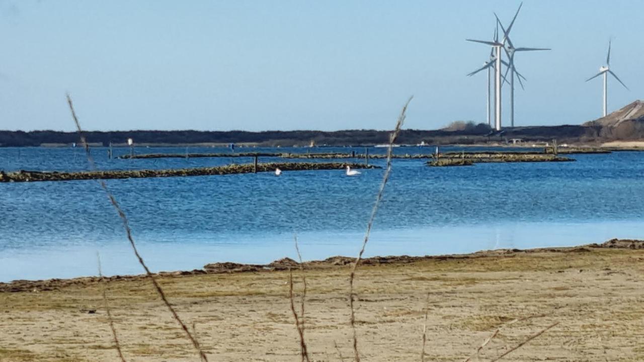 Beach Lodges Oostvoorne Exterior photo